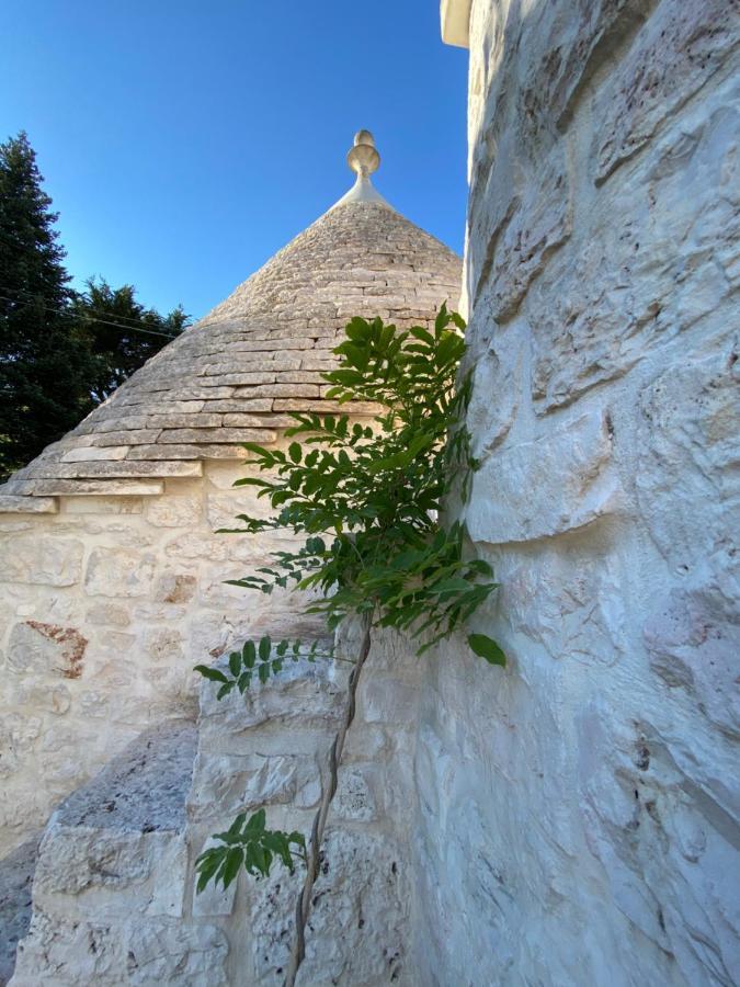 Bed and Breakfast I Trulli Del Tupparello à Fasano Extérieur photo